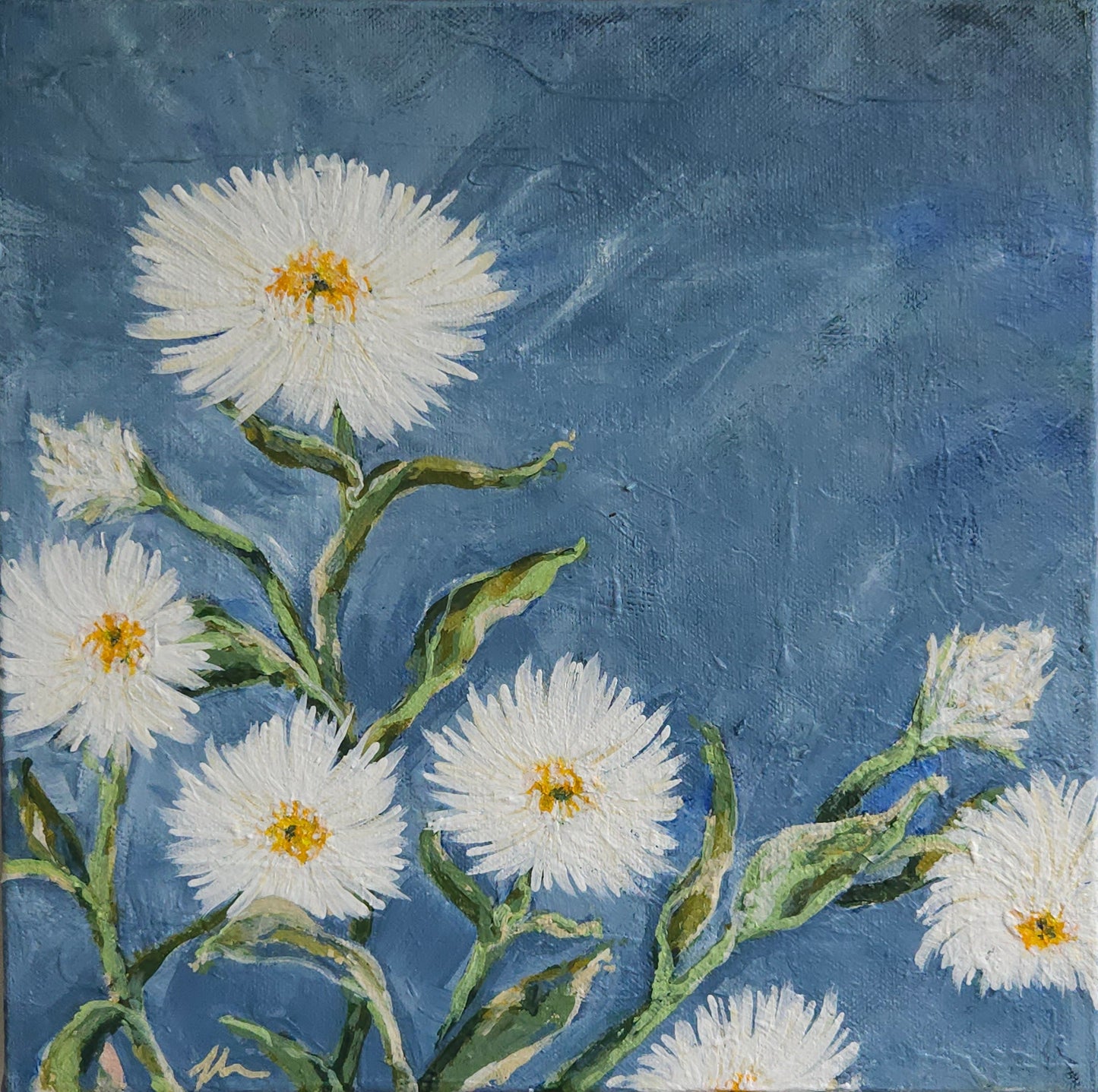 Paper Daisies II