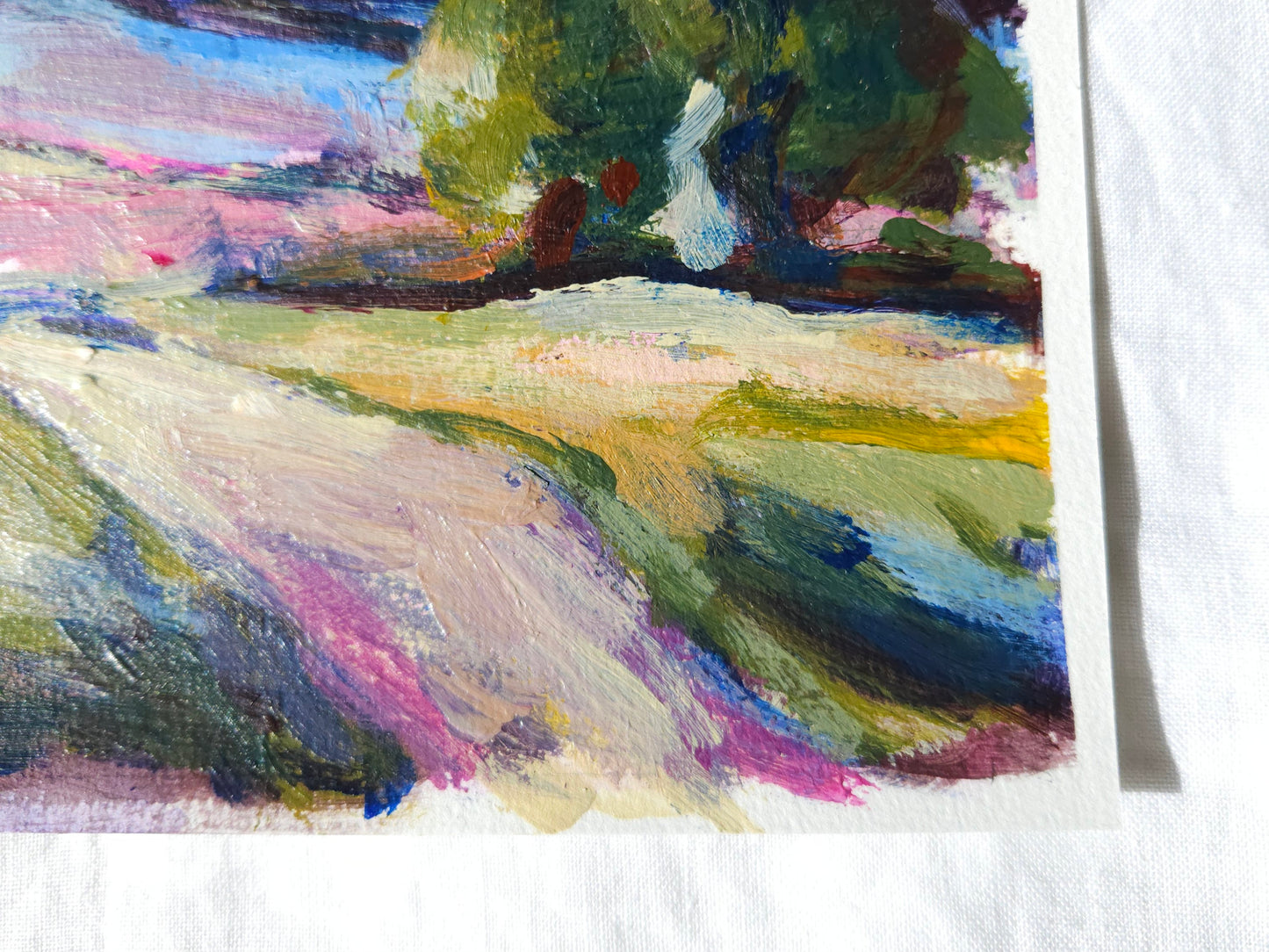 The Paddocks - Study I