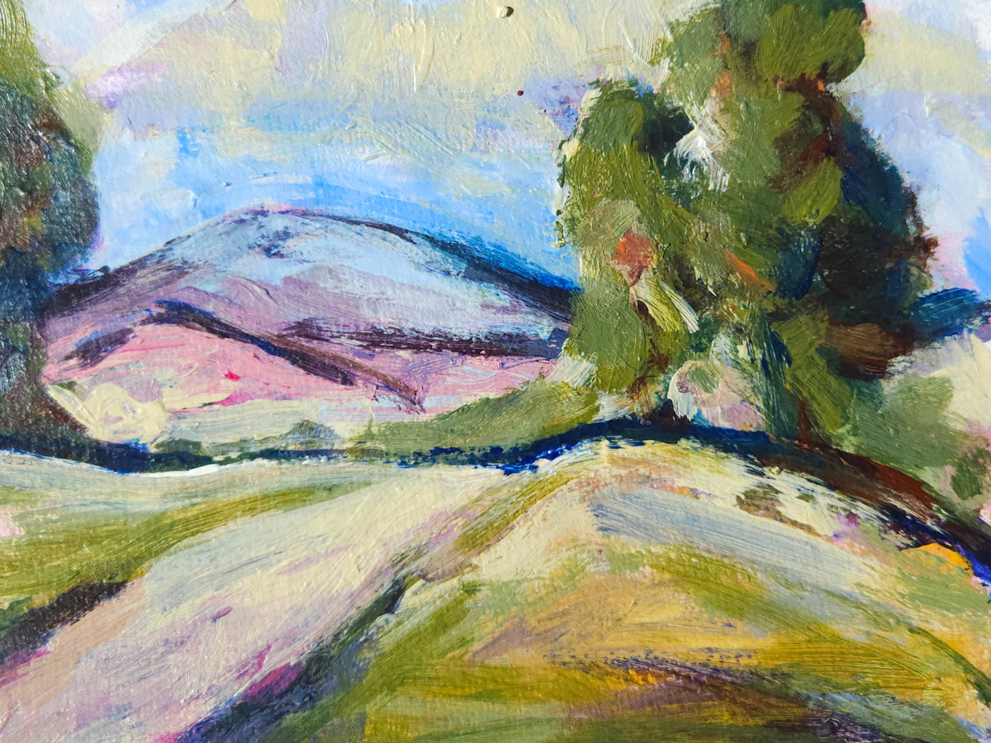 The Paddocks - Study II