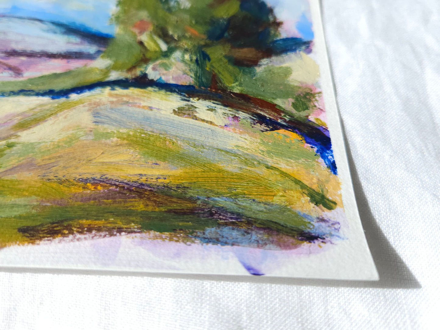 The Paddocks - Study II