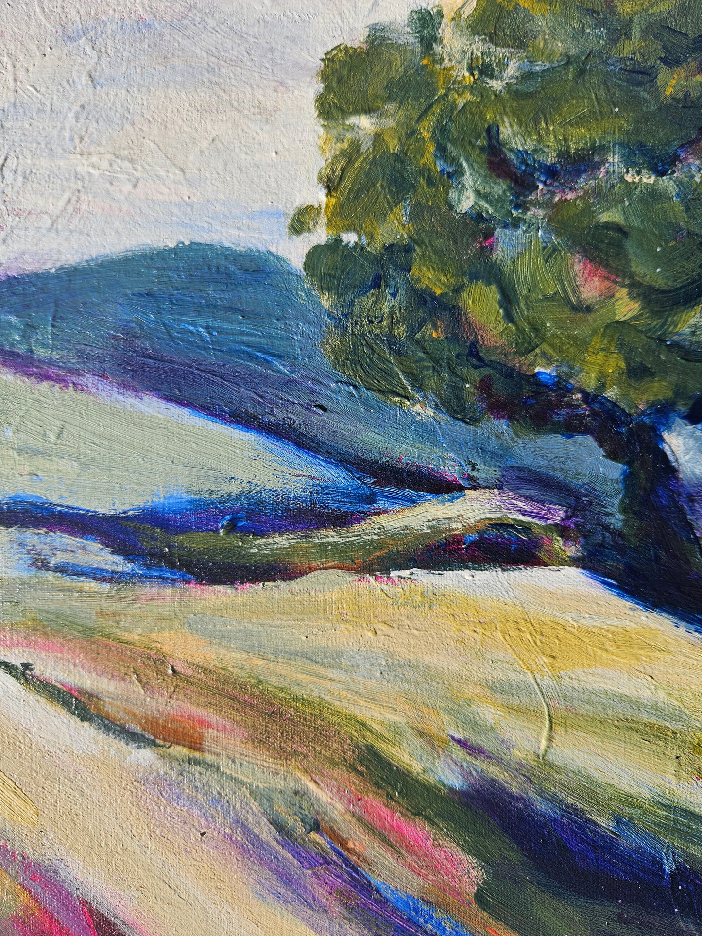 Paddocks