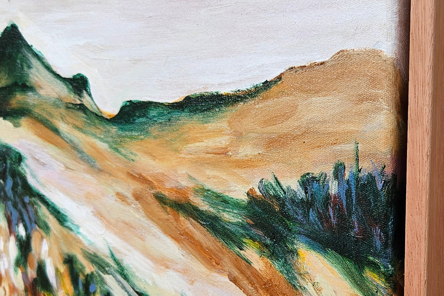Golden Light Over Hinterland