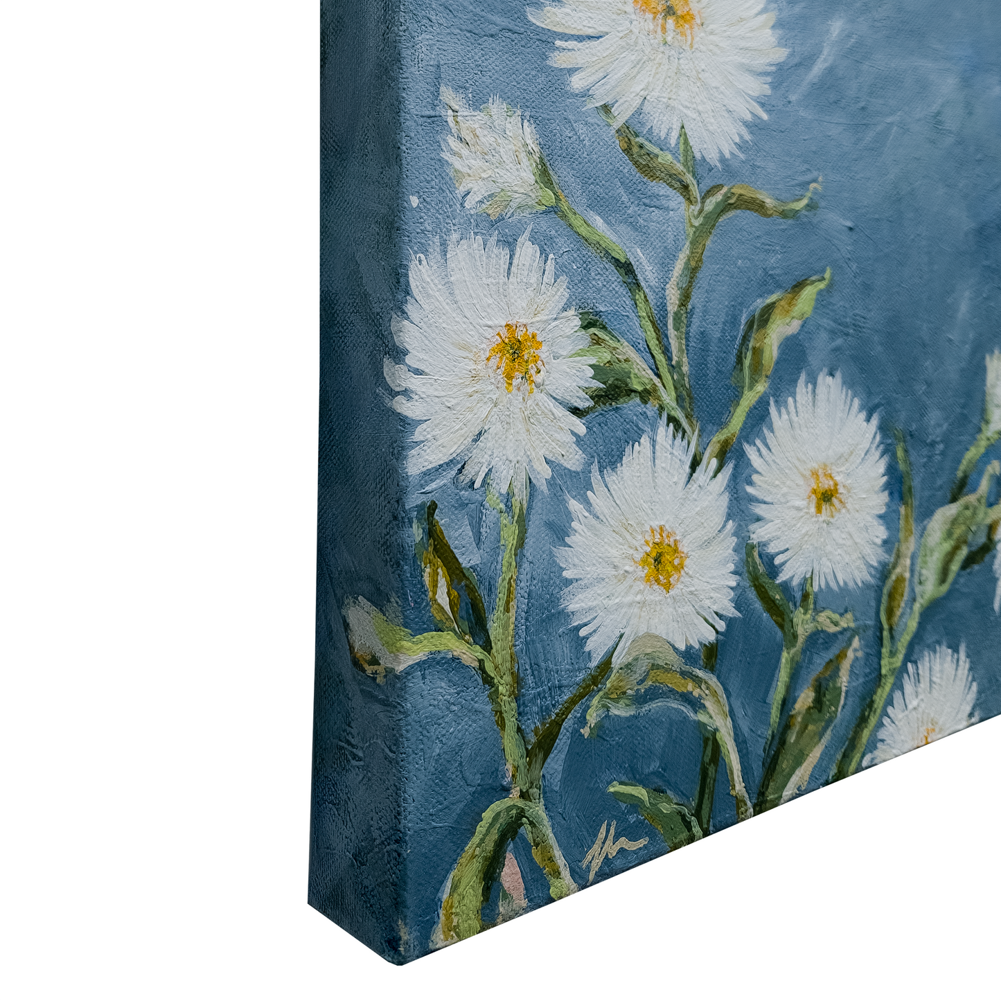 Paper Daisies II