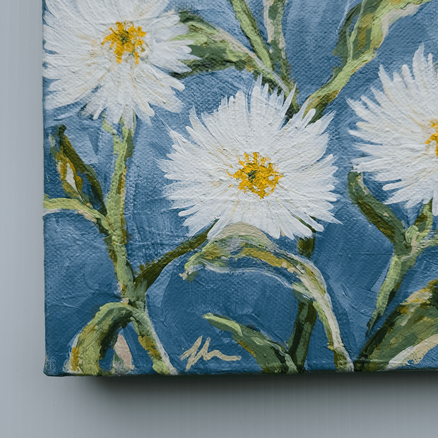 Paper Daisies II